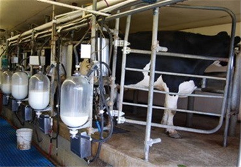 شیر خام گران شد، قیمت جدید ۱۴۴۰ تومان