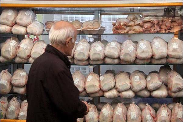 قیمت مرغ در خرده‌فروشی‌ها ۷۷۰۰ تومان/محدودیتی در عرضه وجود ندارد