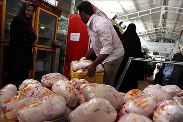 مرغ را گران‌تر از ۸۲۰۰ تومان نخرید/ عرضه مرغ‌های دولتی در بازار