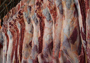 فروش گوشت گوسفند با نصف قیمت
