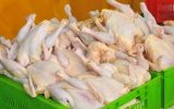 قیمت مرغ در ۱۳ آبان ۹۷