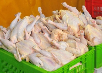 کاهش قیمت مرغ تازه در میادین