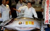 ‌‌‌‌‌‌‌‌‌‌‌‌‌‌‌‌‌‌‌‌‌‌‌‌‌‌‌‌‌‌‌‌‌‌‌‌‌‌‌‌‌‌‌‌‌‌‌‌‌‌‌‌‌‌‌‌‌‌‌‌‌‌‌‌‌‌‌‌‌‌‌‌‌‌‌‌‌‌‌‌‌‌‌‌‌‌‌‌‌‌‌‌‌‌‌‌‌‌‌‌‌‌‌‌‌‌‌‌‌‌‌‌‌‌‌‌‌‌‌‌‌‌‌‌‌‌‌‌‌‌‌‌‌‌‌‌‌‌‌‌‌‌‌‌‌‌‌‌‌‌‌‌‌‌‌‌‌‌‌‌‌‌‌‌‌‌‌‌‌‌‌‌‌‌‌‌یک ماهی تن در ژاپن با قیمتی معادل ۷۰ کیلو طلا به فروش رسید