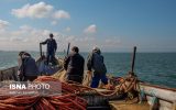 ذوالقدر: صدور مجوز صید در خلیج فارس برای صیادان محلی دردستور کار قرار گیرد