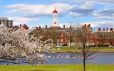 ۵ سلبریتی آمریکایی که در دانشگاه “هاروارد” تحصیل کرده‌اند