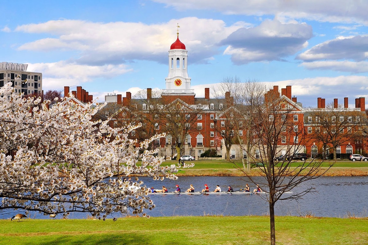 ۵ سلبریتی آمریکایی که در دانشگاه “هاروارد” تحصیل کرده‌اند
