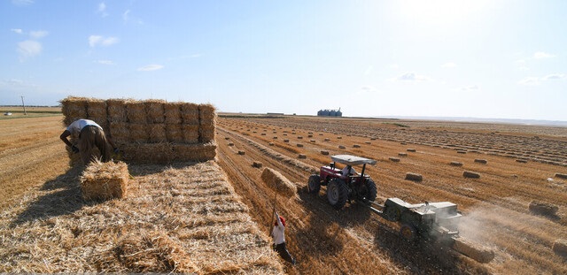 قیمت خرید تضمینی گندم در سال زراعی جدید رضایت کشاورزان را به دنبال دارد؟