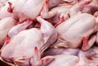 کشور مازاد تولید گوشت مرغ دارد
