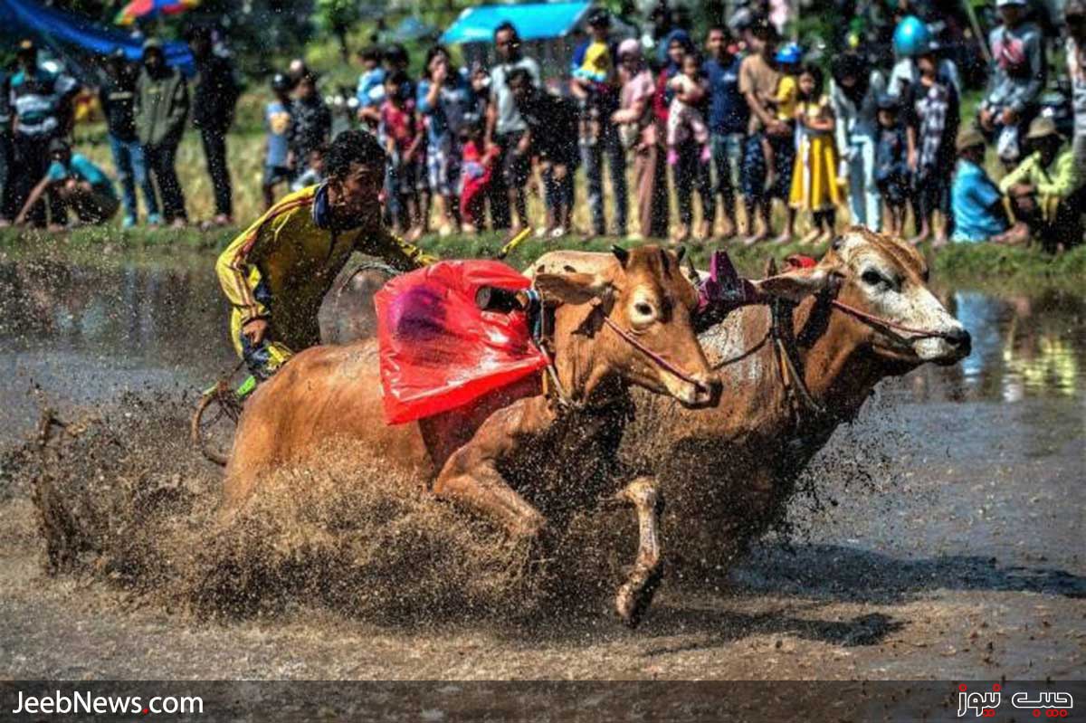دیدنی های بدون شرح از سراسر جهان
