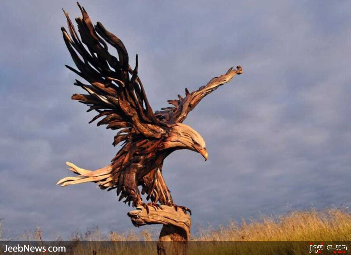 دیدنی های بدون شرح از سراسر جهان