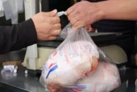 پایداری گوشت مرغ در قرارگاه امنیت غذایی بررسی شد