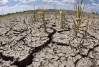 خشکسالی و وام ۷.۵ میلیارد دلاری صندوق بین المللی پول به آرژانتین