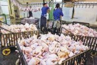 تامین نهاده سویا واحدهای مرغ گوشتی تا چند روز آینده/ عرضه مرغ در بازار افزایش می‌یابد