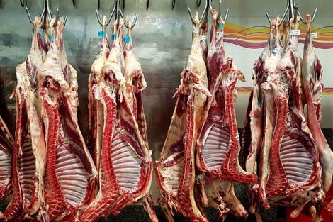 گوشت قرمز ایران در عمان/ ایران به دنبال گوشت کنیایی و پاکستانی!