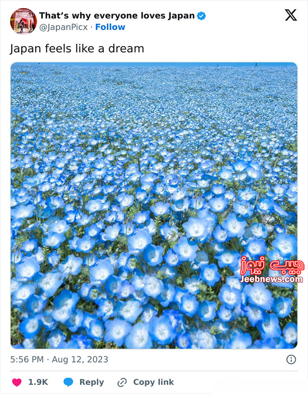 چرا ژاپن شبیه هیچ کشوری نیست؟! (تصویری)