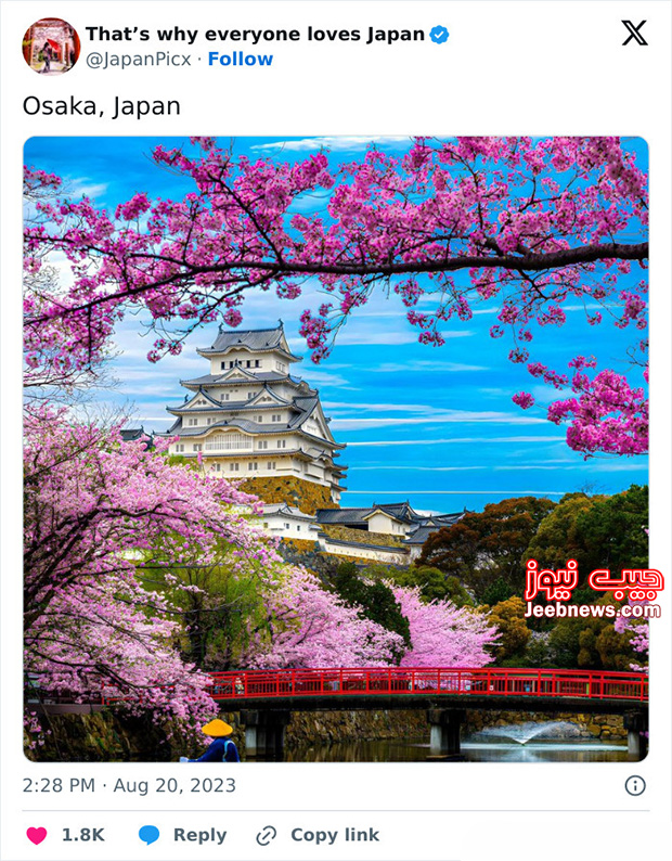 چرا ژاپن شبیه هیچ کشوری نیست؟! (تصویری)
