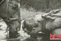 مرزبان لهستانی و اسبش در حال نوشیدن آب (عکس)