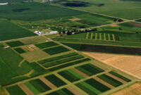 حداقل ۶۲ درصد اراضی کشاورزی کشور سند مالکیت تک‌برگ ندارند