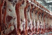 ۴۰ هزار تن گوشت قرمز در شهریور عرضه شد