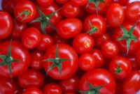 کاهش تب بازار گوجه فرنگی تا ۱۰ روز آینده/ قیمت‌ها متعادل می‌شود