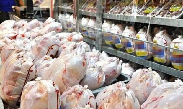 توزیع روزانه ۱۵۰۰ تن گوشت مرغ و ۴۸۰ تن گوشت قرمز