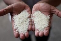 برنج هندی رکورد قیمت زد!