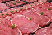 سقوط وحشتناک جمعیت شتر در ایران! / قیمت گوشت شتر نجومی شد / مراقب باشید به جای گوشت شتر به شما گوشت گوساله نیندازند!