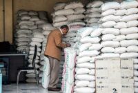 همراهی دولت برای حمایت از برنج ایرانی با بخش خصوصی/ برای افزایش تقاضای برنج باید فکری کرد