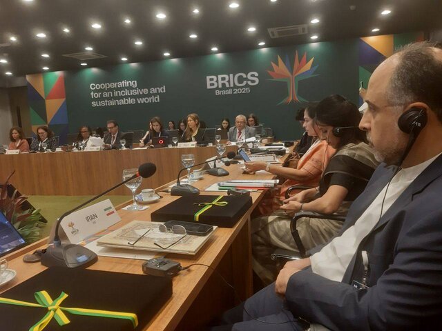 برگزاری نشست وزرای کار بریکس در برزیل 